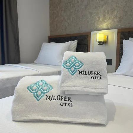 By Niluefer فندق بورصة