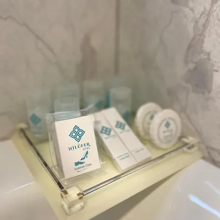 By Niluefer Отель Бурса